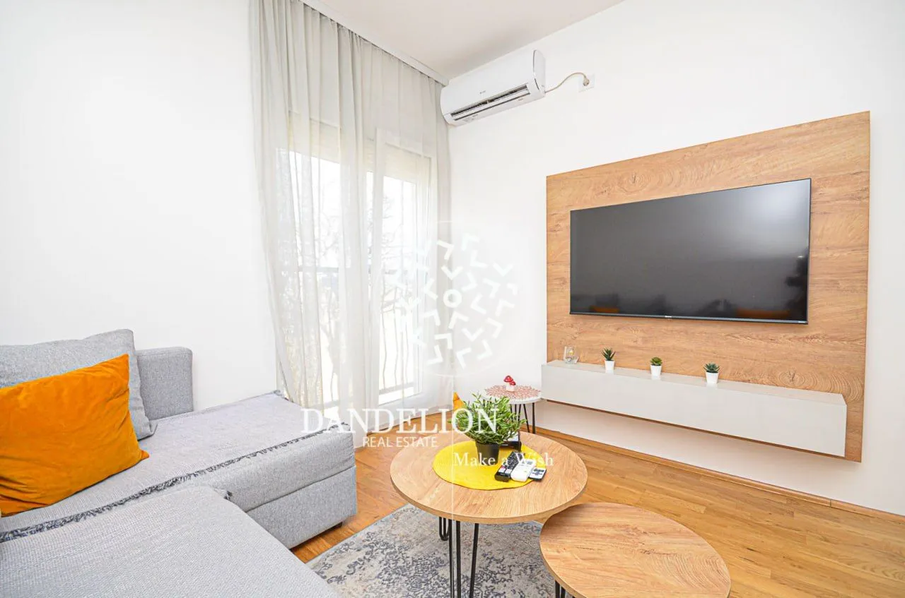 Rent, one bedroom apartment, 59m², Central Point, Podgorica