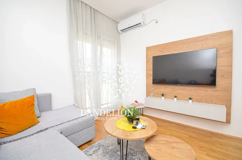 Rent, one bedroom apartment, 59m², Central Point, Podgorica - image 1178
