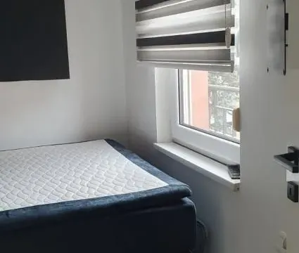 Izdavanje, jednosoban stan, 42m², Vračar Sve Podlokacije, Beograd - image 10