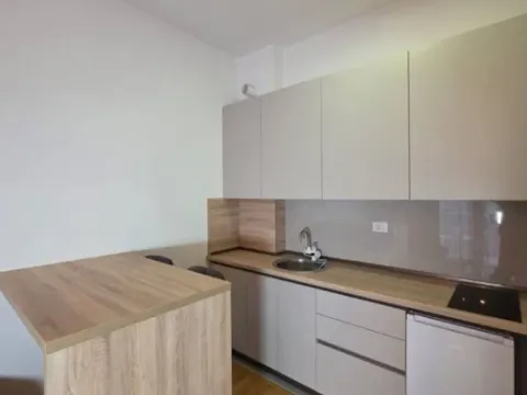 Izdavanje, jednosoban stan, 38m², Velji Vinogradi, Budva - image 5