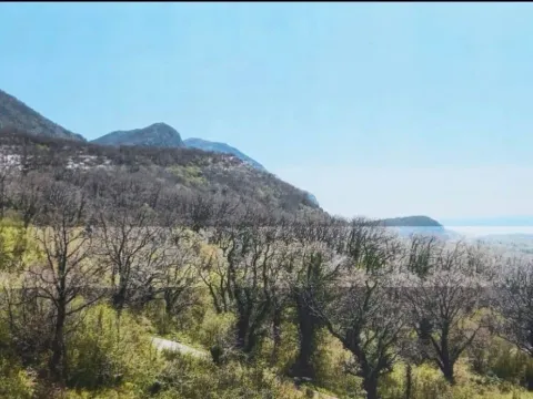 Zemljište in Kuljače