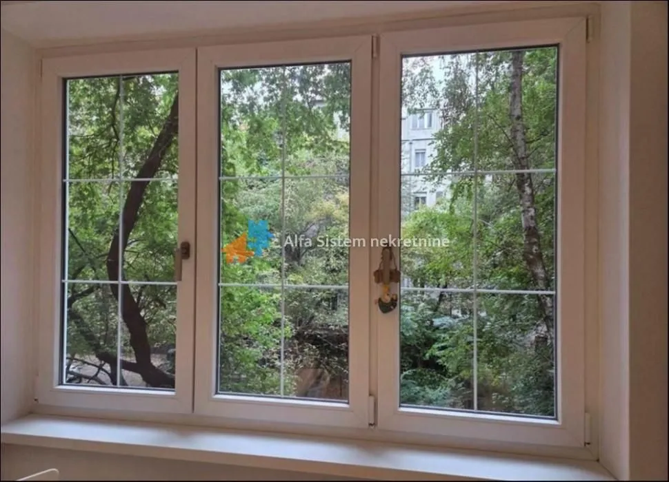 Izdavanje, dvosoban stan, 54m², Tašmajdan, Palilula Sve Podlokacije