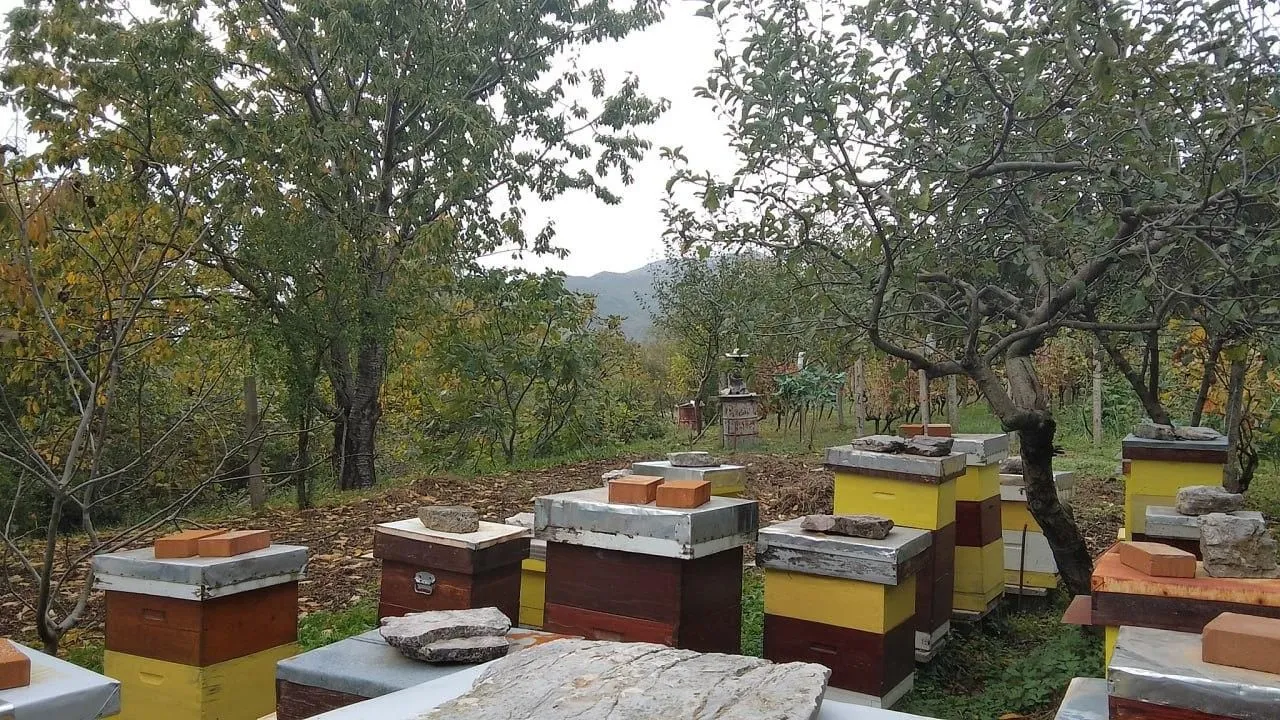 Prodaja, plac, 669m², Mokrine, Herceg Novi