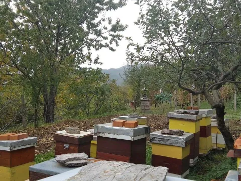 Prodaja, plac, 669m², Kamenovo, Budva - image 4