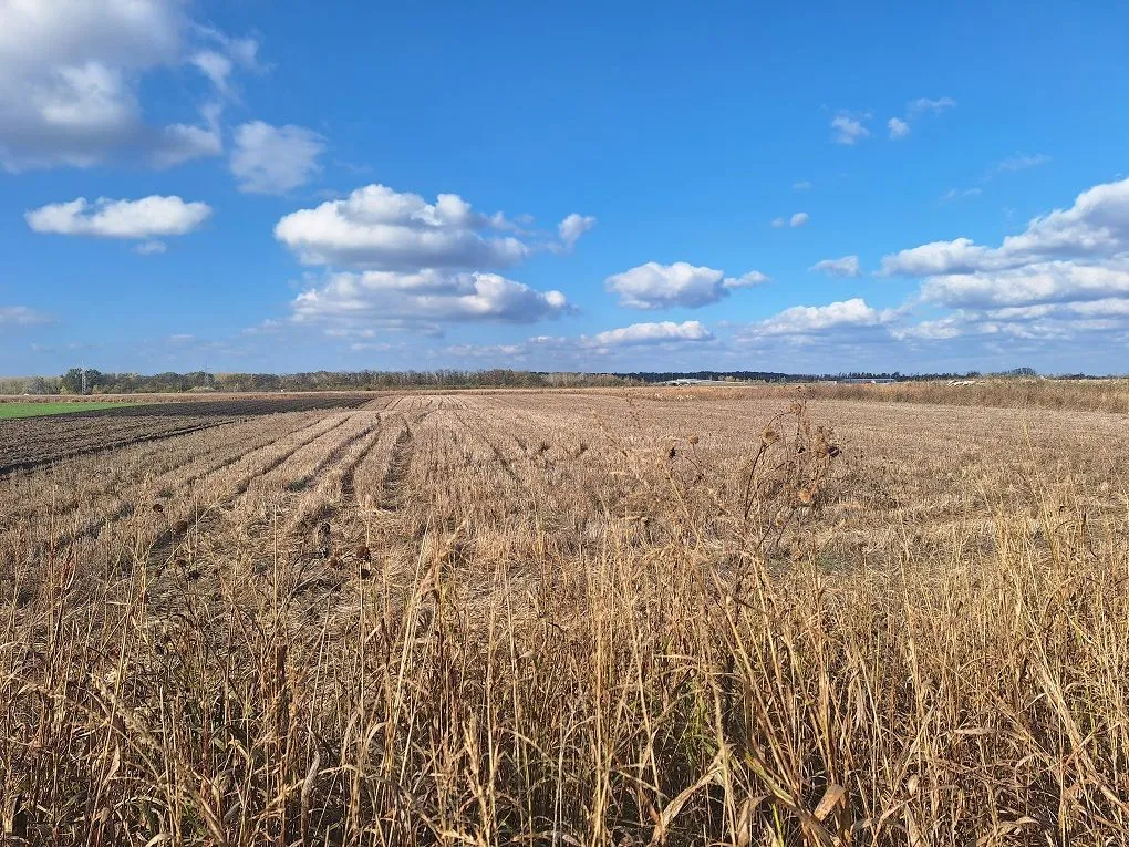 Sale, land lot, Palilula Sve Podlokacije, Beograd
