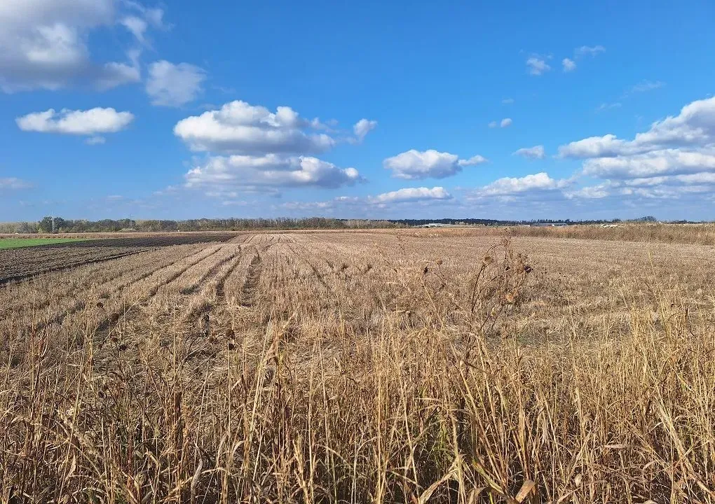 Sale, land lot, Palilula Sve Podlokacije, Beograd