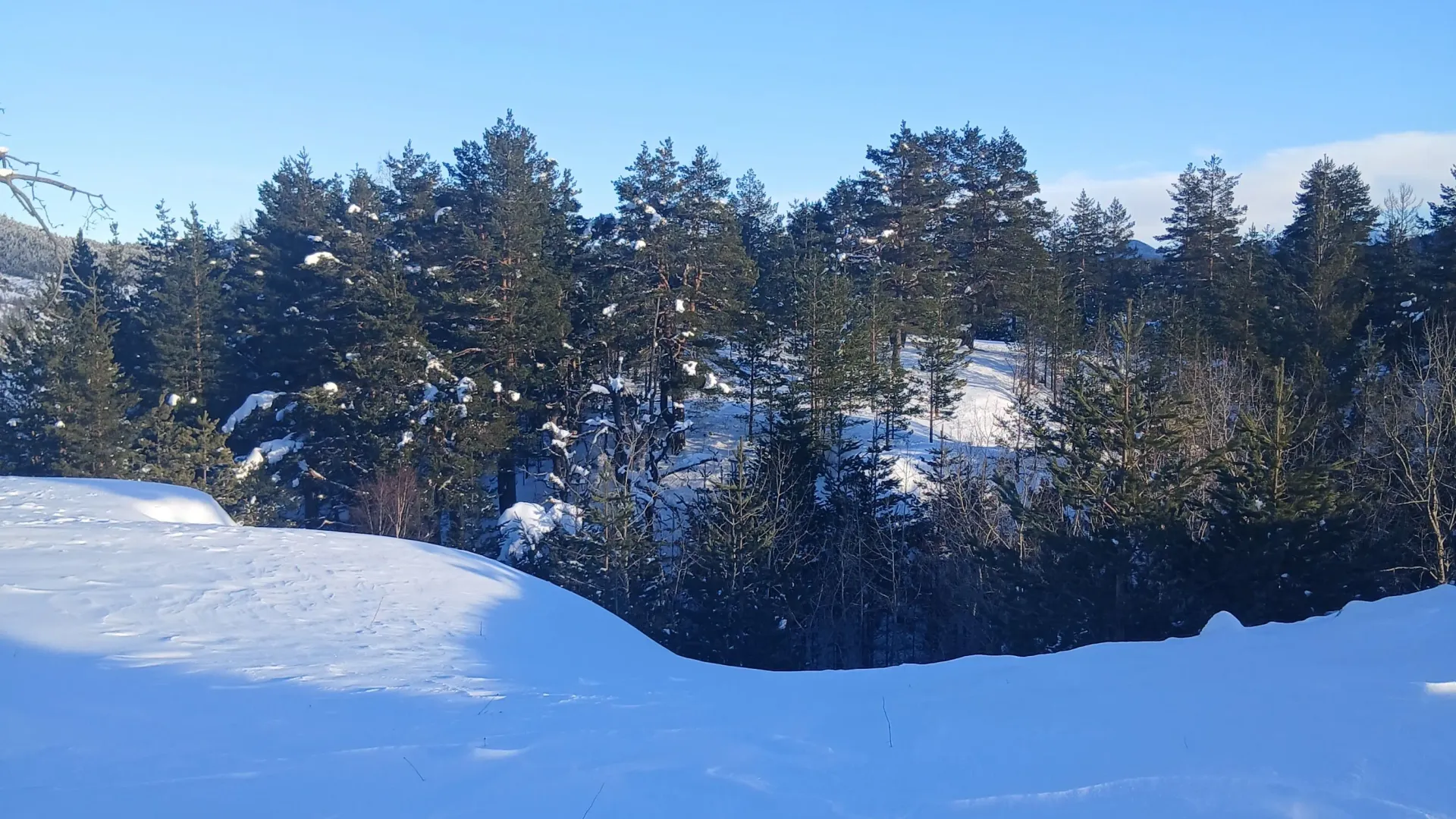 Prodaja, plac, 3000m², Borje, Žabljak