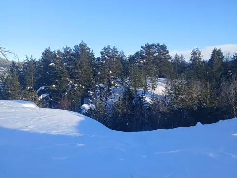 Prodaja, plac, 3000m², Borje, Žabljak - image 7