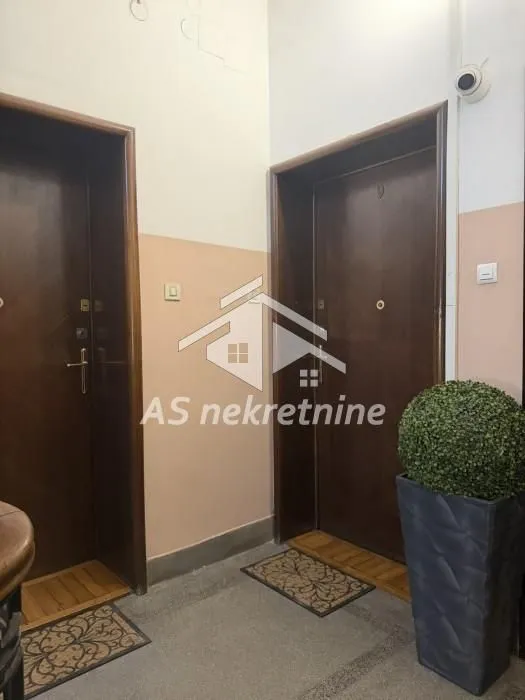 Izdavanje, stan, 150m², Vračar Sve Podlokacije, Beograd