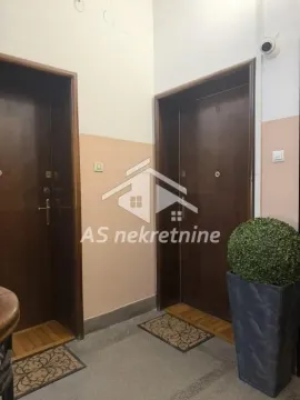 Izdavanje, stan, 150m², Vračar Sve Podlokacije, Beograd - image 21