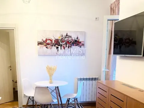 Izdavanje, dvosoban stan, 43m², Botanička Bašta, Palilula Sve Podlokacije - image 2