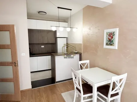 Rent, one bedroom apartment, 46m², Zabjelo, Podgorica - image 2