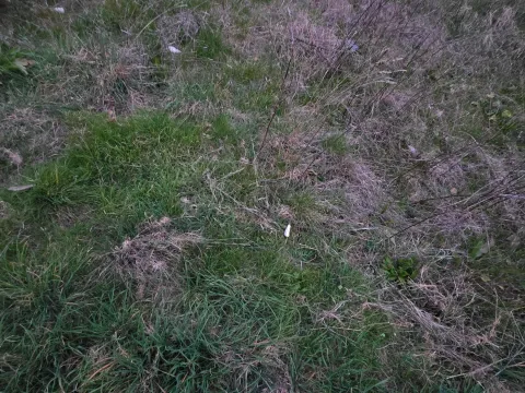 Prodaja, plac, 400m², Masline, Podgorica - image 2