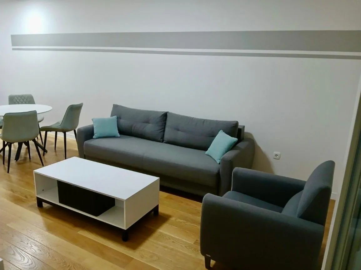 Izdavanje, jednosoban stan, 49m², Central Point, Podgorica