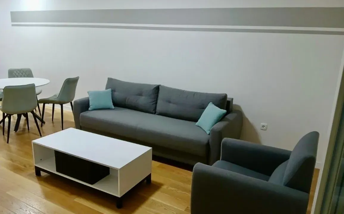 Izdavanje, jednosoban stan, 49m², Central Point, Podgorica