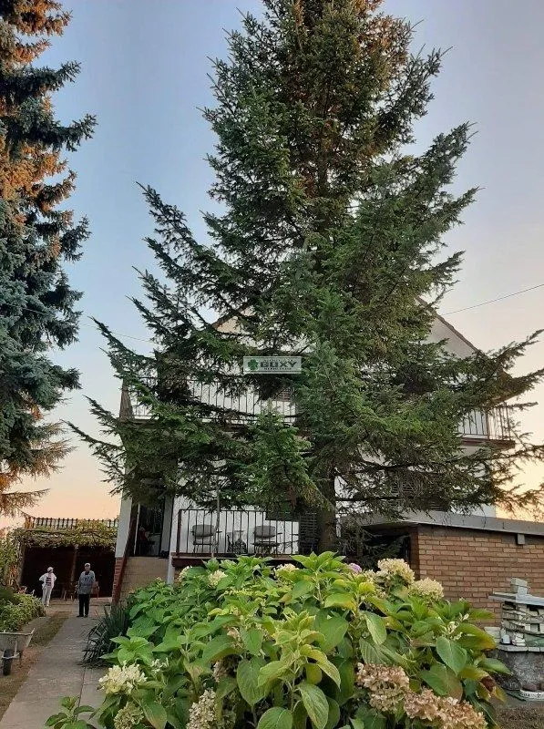 Prodaja, kuća, 480m², Mala Moštanica, Obrenovac