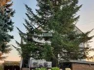 Sale, house, 480m², Mala Moštanica, Obrenovac - image 5