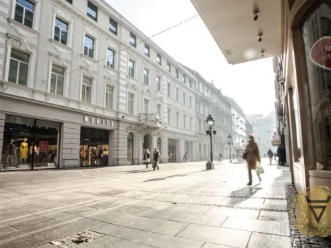 Rent, two bedroom apartment, 58m², Stari Grad, Beograd - image 3