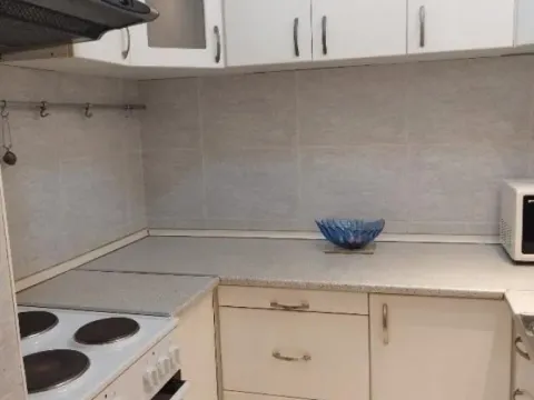 Izdavanje, dvosoban stan, 47m², Voždovačka Crkva, Voždovac Sve Podlokacije - image 3