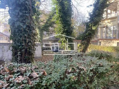 Izdavanje, kuća, 312m², Vračar Hram, Vračar Sve Podlokacije - image 9