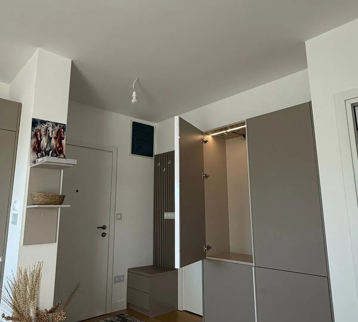 Rent, one bedroom apartment, 42m², Tološka šuma, Podgorica