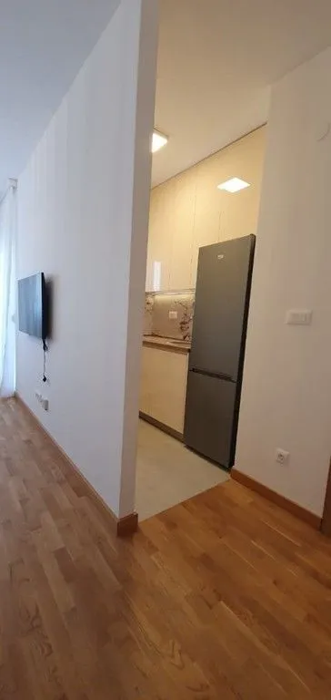 Rent, one bedroom apartment, 46m², Zabjelo, Podgorica