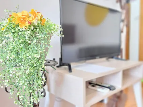 Rent, studio apartment, 30m², Budva, Crna Gora - image 3