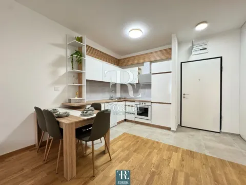 Izdavanje, jednosoban stan, 47m², Stari Aerodrom, Podgorica - image 5