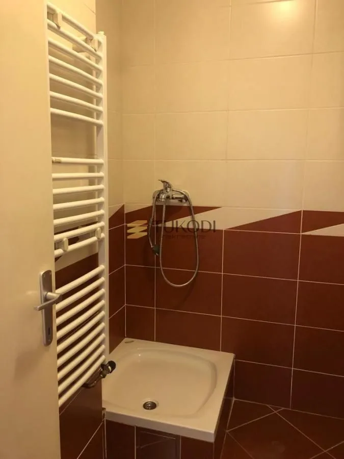 Manje kupatilo sa tuš kabinom i radijatorom.