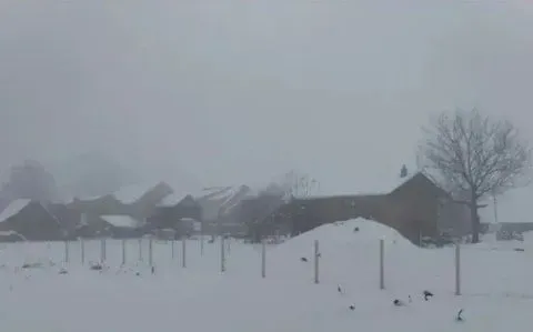 Prodaja, plac, 635m², Borča Sve Podlokacije, Beograd - image 5