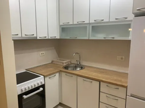 Rent, one bedroom apartment, 45m², Zagorič, Podgorica - image 4