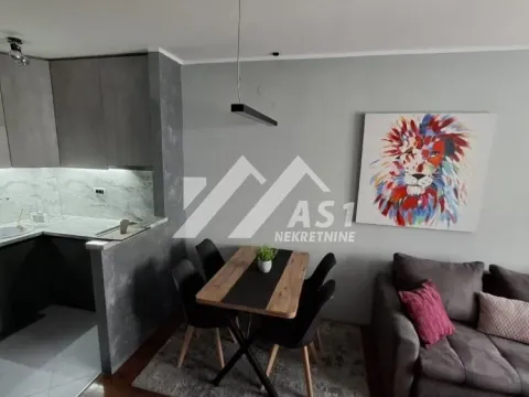 Izdavanje, dvosoban stan, 45m², Novi Sad Sve Podlokacije, Novi Sad - image 2