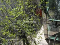 Izdavanje, poslovni prostor, 590m², Vračar Sve Podlokacije, Beograd - image 8