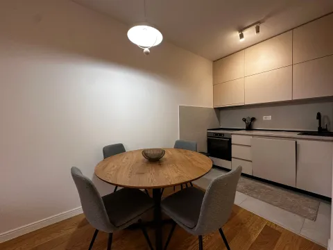 Izdavanje, jednosoban stan, 50m², Central Point, Podgorica - image 3