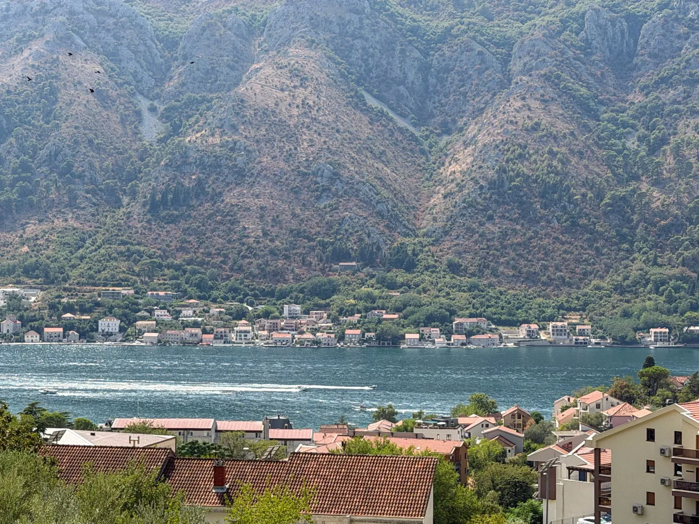 Rent, one bedroom apartment, 47m², Dobrota, Kotor