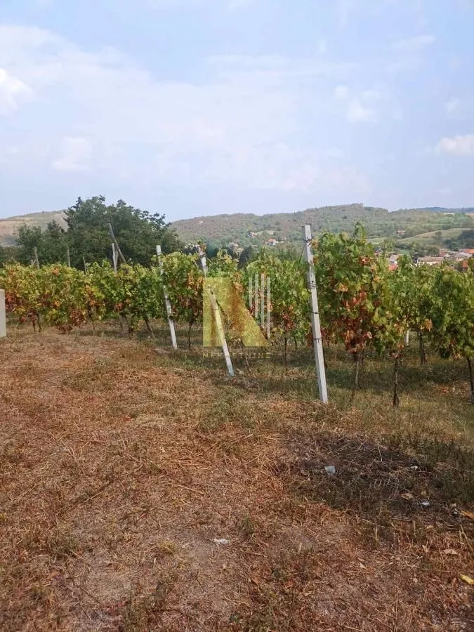 Prodaja, plac, 3922m², Beočin, Srbija