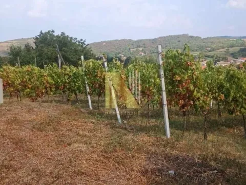Prodaja, plac, 3900m², Beočin, Srbija - image 3
