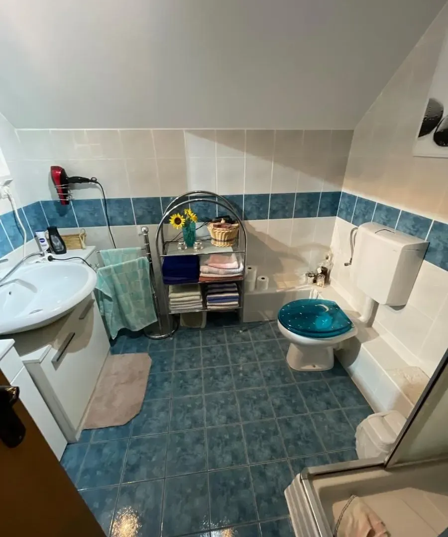 Prodaja, kuća, 172m², Rakovac, Novi Sad Sve Podlokacije