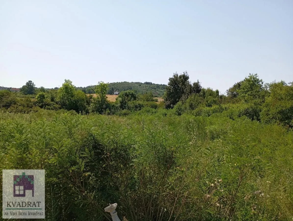 Prodaja, plac, 4800m², Mala Moštanica, Obrenovac