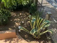 Prodaja, petosoban stan, 180m², Dobre Vode, Bar - image 3