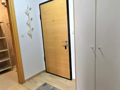 Izdavanje, jednosoban stan, 48m², Nova Dalmatinska, Podgorica - image 5