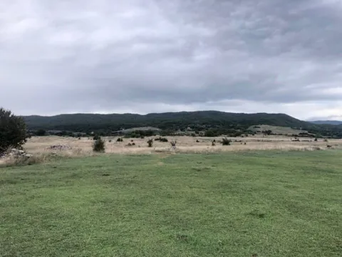 Sale, land lot, 162000m², Lukovo, Nikšić - image 3