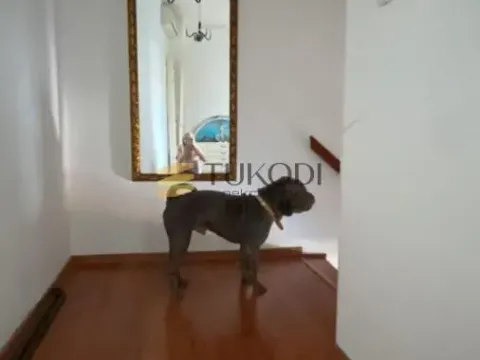 Izdavanje, trosoban stan, 87m², Centar, Novi Sad - image 5