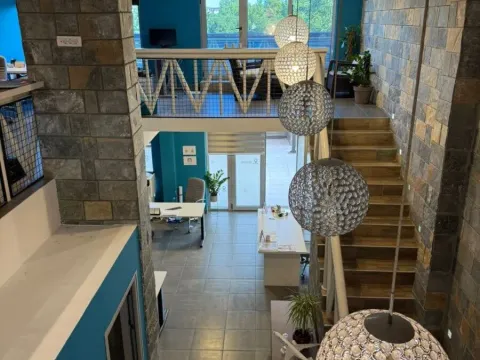 Izdavanje, poslovni prostor, 245m², Krivi Most, Podgorica - image 4