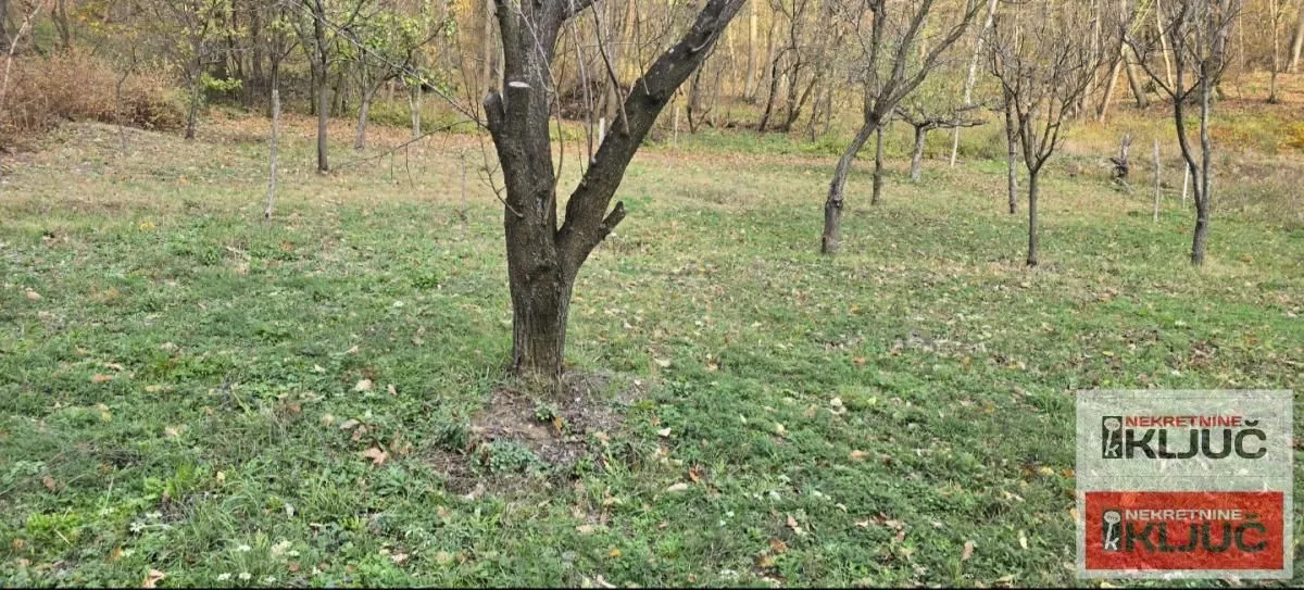Prodaja, kuća, 63m², Rakovac, Novi Sad Sve Podlokacije
