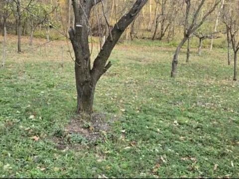 Prodaja, kuća, 63m², Rakovac, Novi Sad Sve Podlokacije - image 25