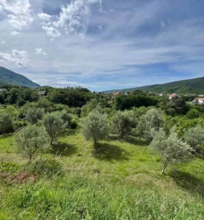 Sale, land lot, 535m², Radanovići, Kotor