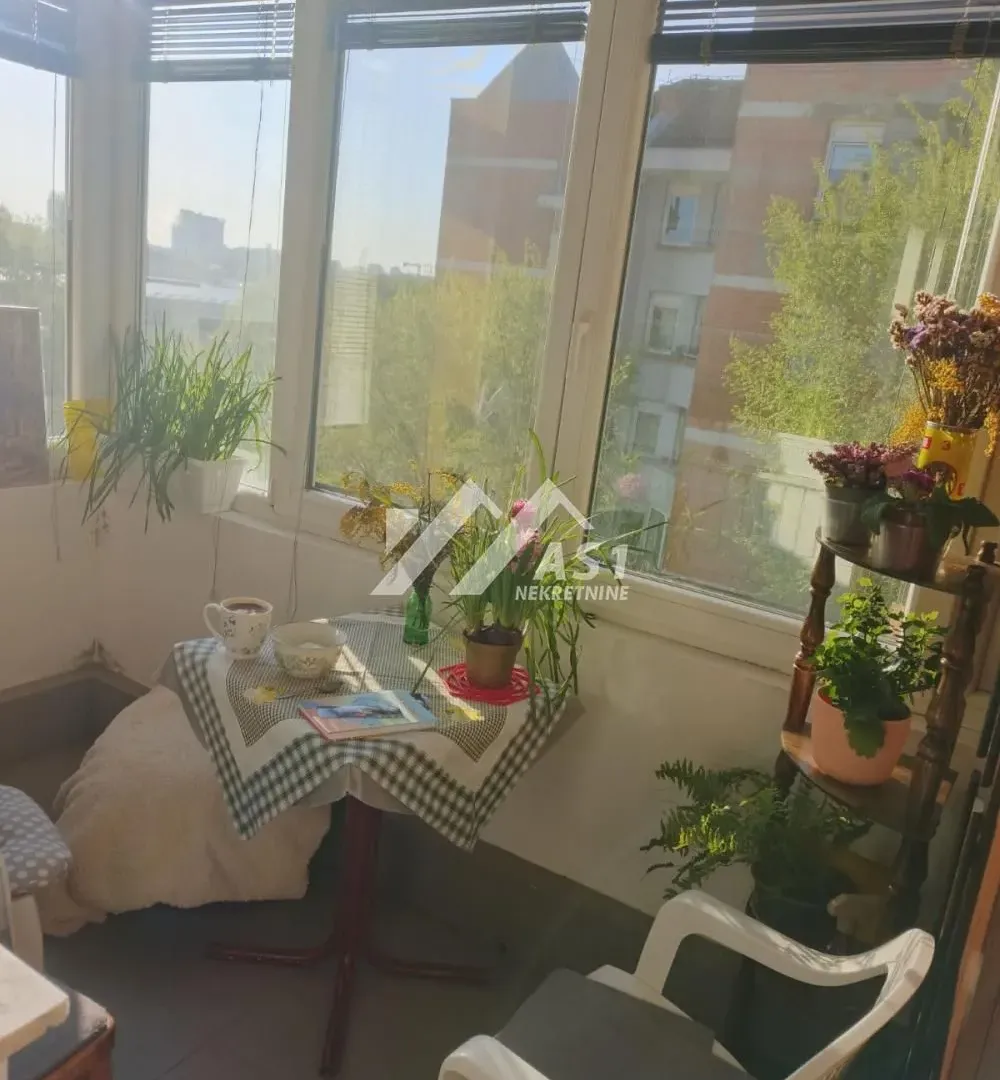 Rent, two bedroom apartment, 63m², Novi Sad Sve Podlokacije, Novi Sad