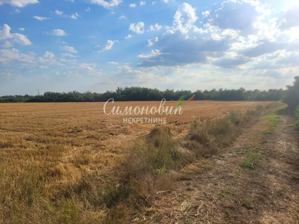 Prodaja, plac, 18100m², Krnješevci, Stara Pazova
