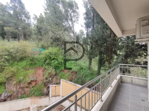 Rent, one bedroom apartment, 53m², Centar, Podgorica - image 3